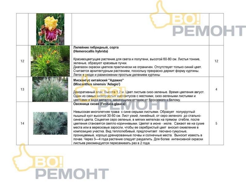 Проект благоустройства территории-102